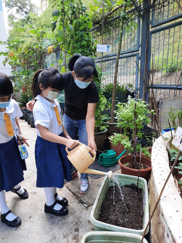 photo-littlefarmer2223-1A-019