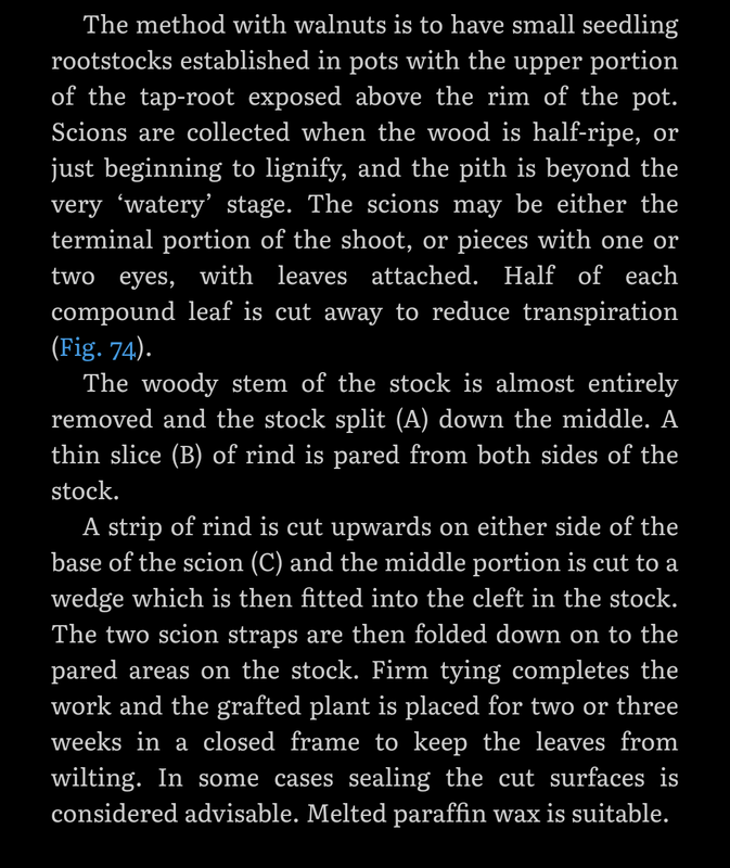 Screenshot_20210111-232752