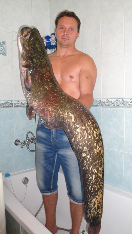 DSC03606 - копия