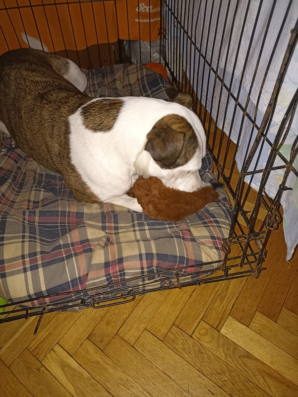 1145E552-78C4-4366-9936-0EDCB12844BE