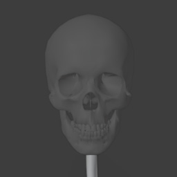 skull2.jpg