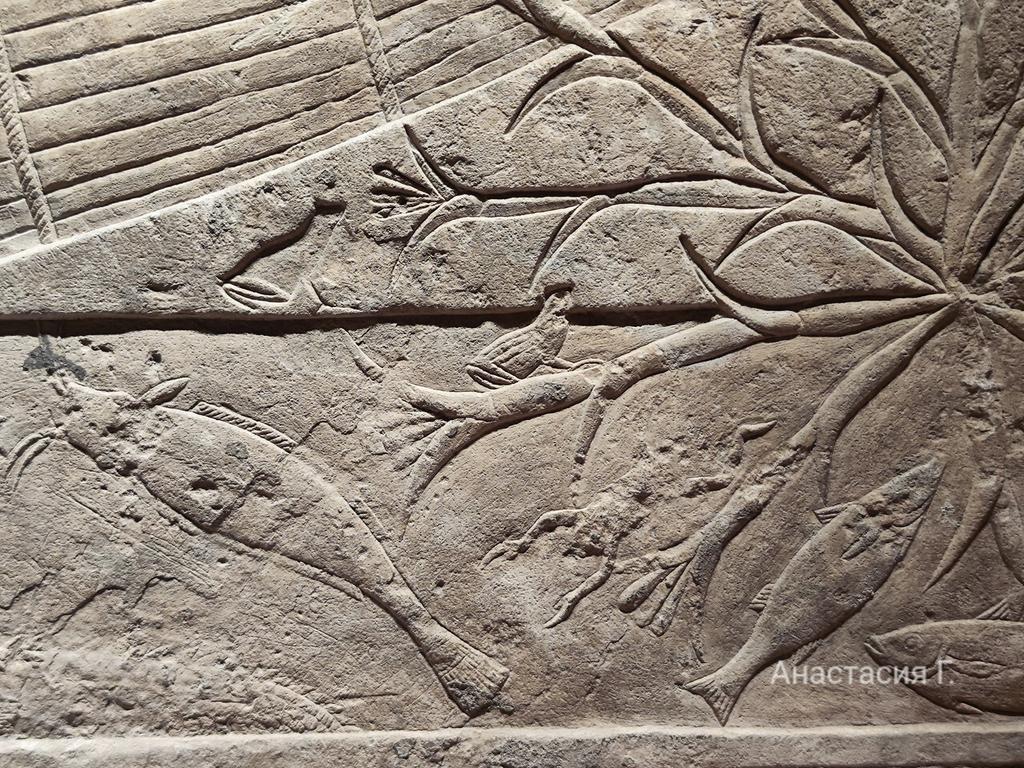 Ленивый Египет (Хургада, Луксор, Каир), декабрь 2025 - январь 2026