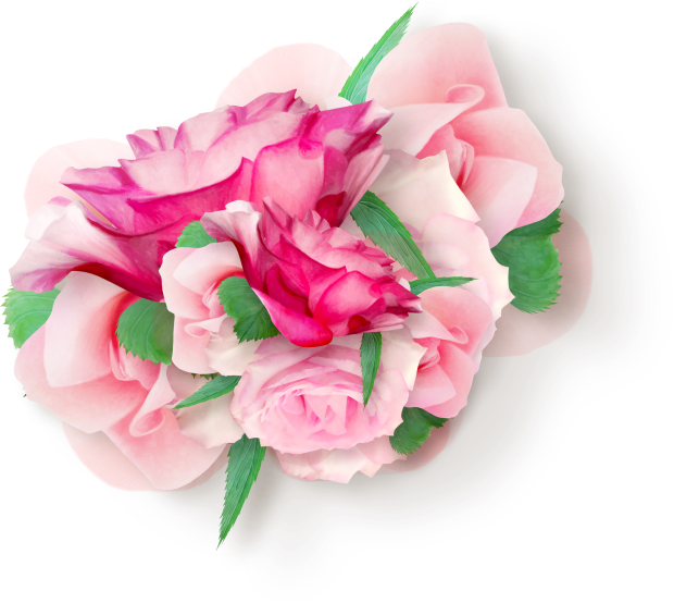 RosesCluster09