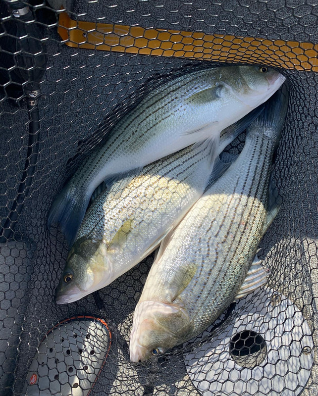 D0668ACB-2960-4151-9460-DC056A5C346B