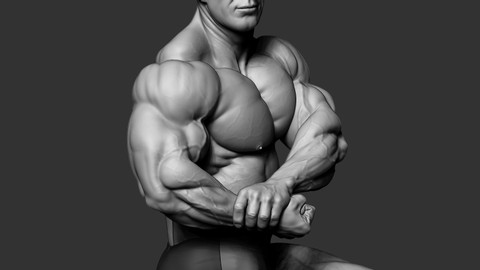 Advance Zbrush Bodybuilder Anatomy Tutorial