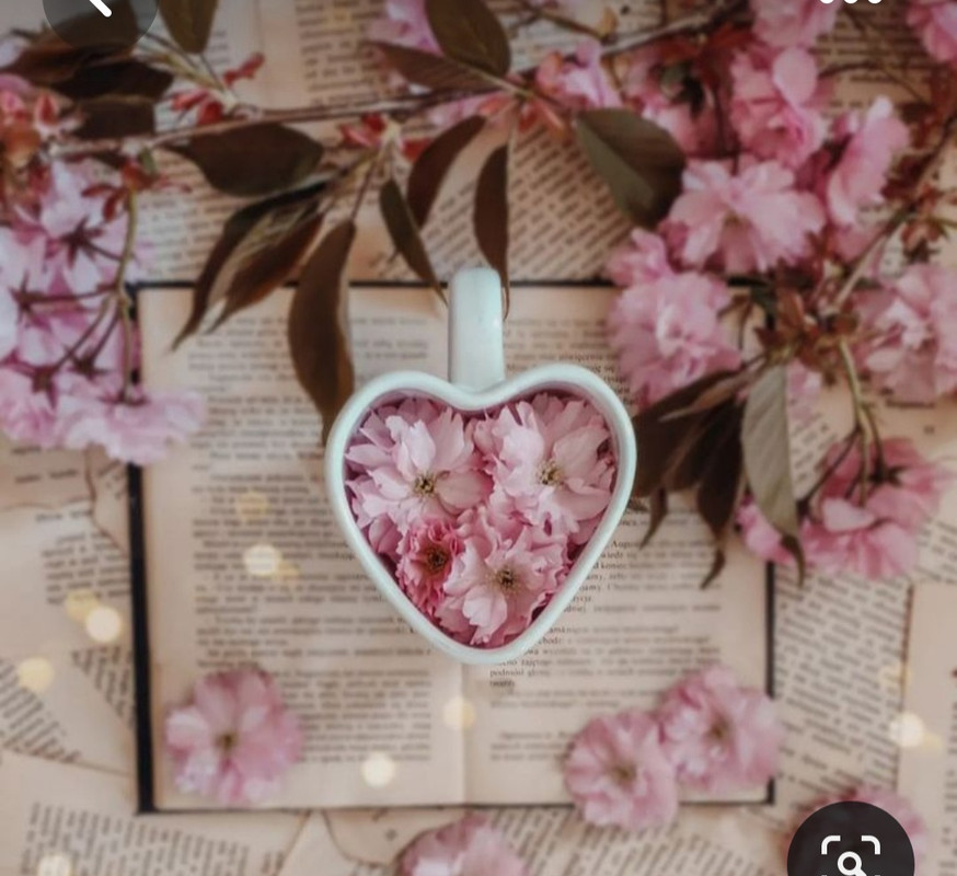 Screenshot_20230731_233345_Pinterest