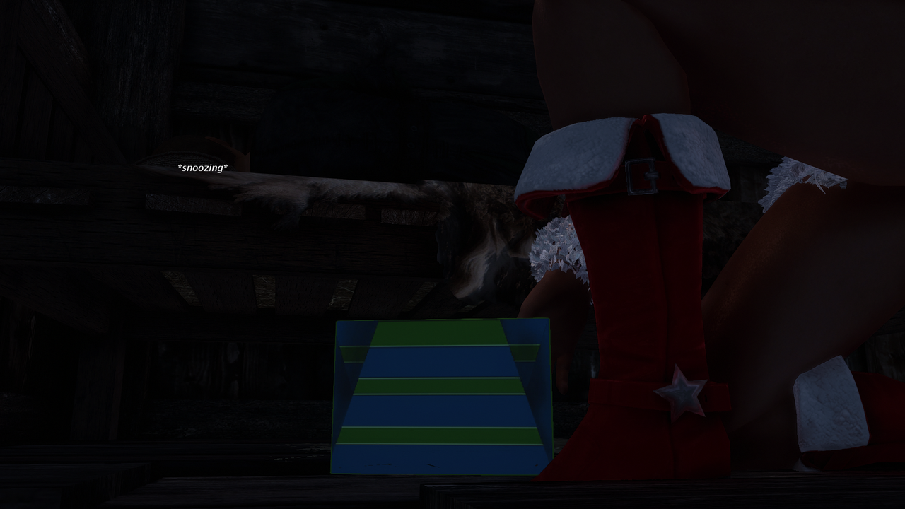 HI-Christmas 2019 016