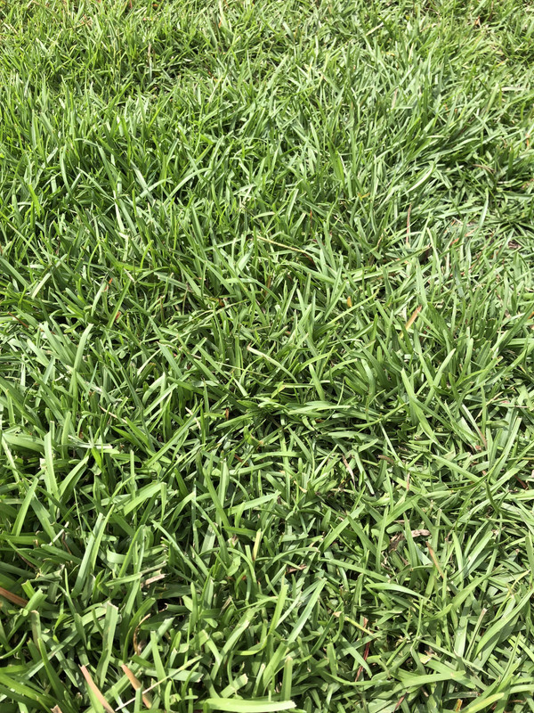 809ECFE9-7AD4-419E-A55A-8074B0A227DE