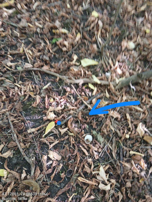 IMG 20251031 171413 516