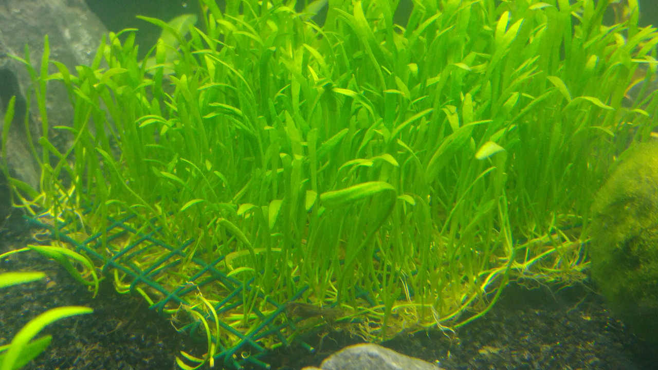 20191213_230842_resized