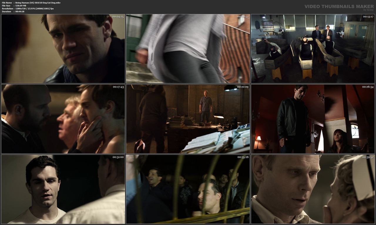 Being Human (US) S01E10 Dog Eat Dog.mkv