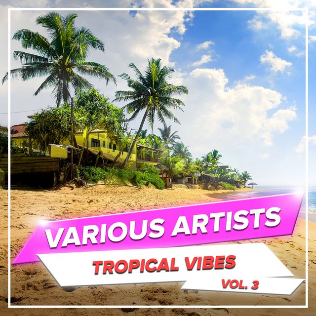 Tropical Vibes, Vol. 3 (2020) mp3 320 Kbps