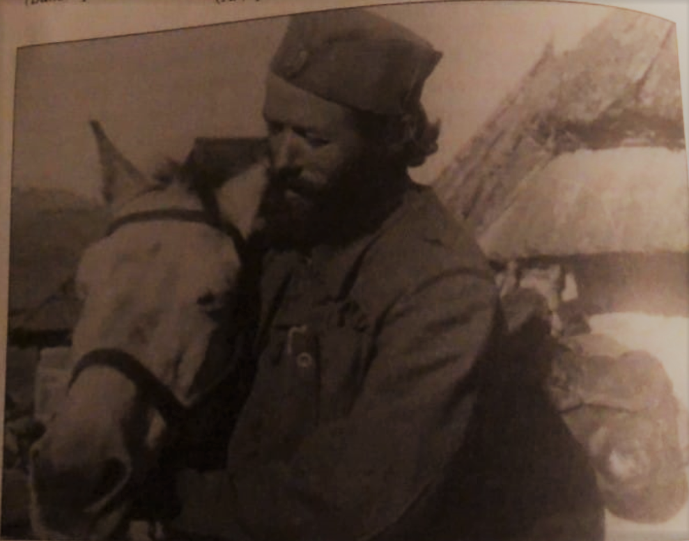 [Слика: Screenshot-1.png]