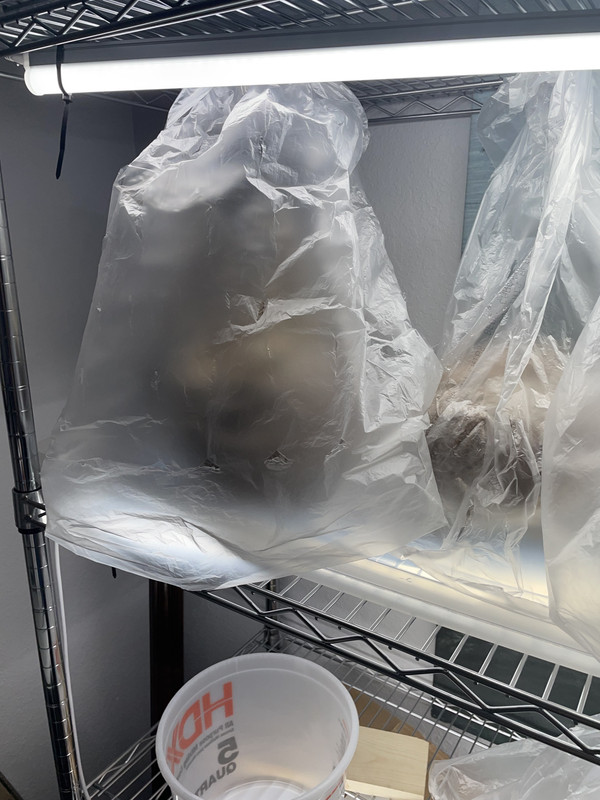 93F4DF02-14C4-4A9A-A5CA-9DB243CEF6A3