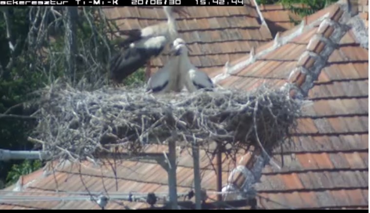 2020-06-30_160116árnyékol