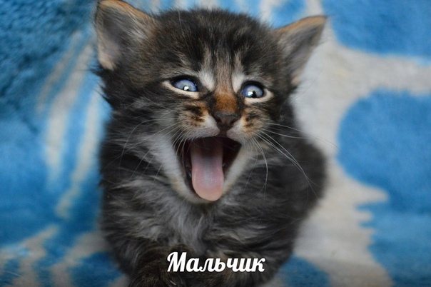 88C40A3F-F43F-4D82-A017-E6C47664CB90