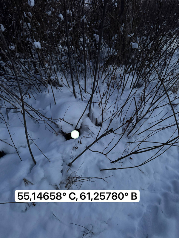 IMG 20260126 024724 033