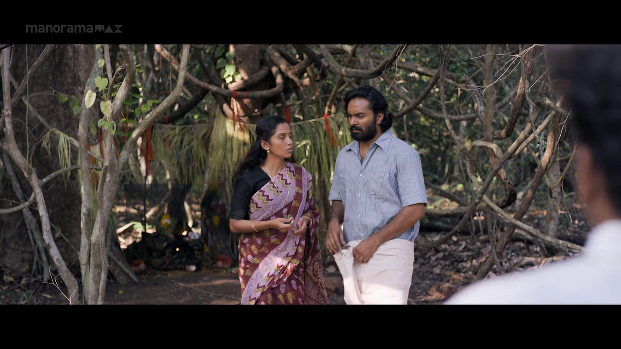 vlcsnap 2026 02 06 18h03m14s370