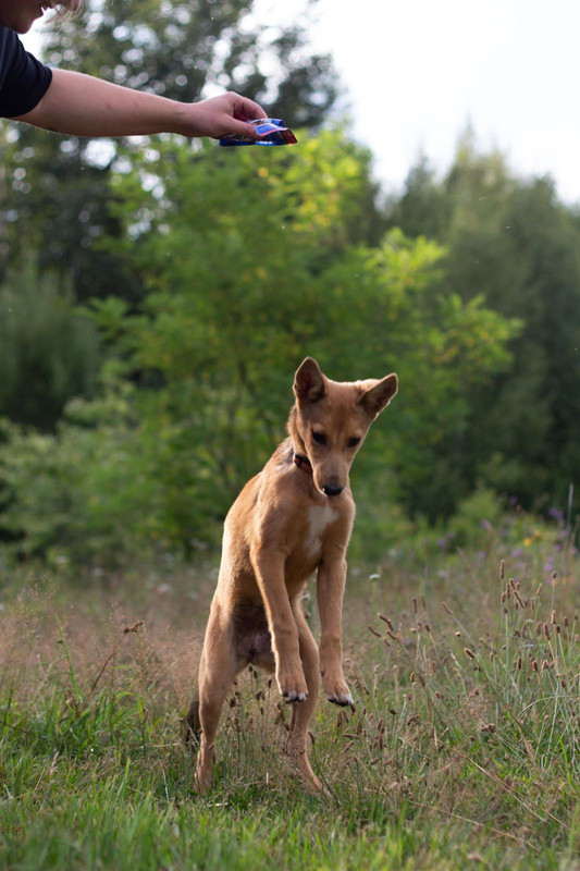 IMG-e025c3164cbba5a2d170f1025cb96a75-V