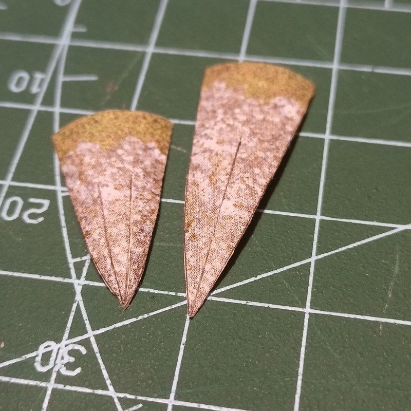 IMG20220917200648 (Custom)