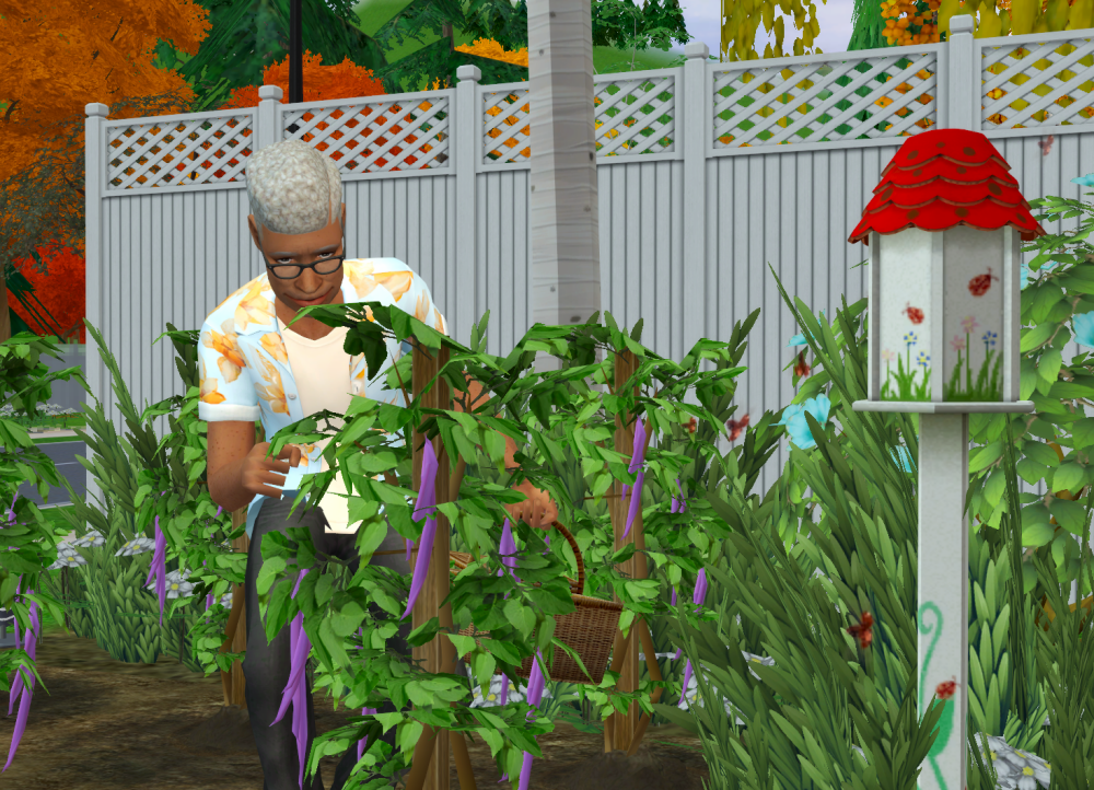 Sims2-EP9-RPC-2022-04-17-19-53-30-01