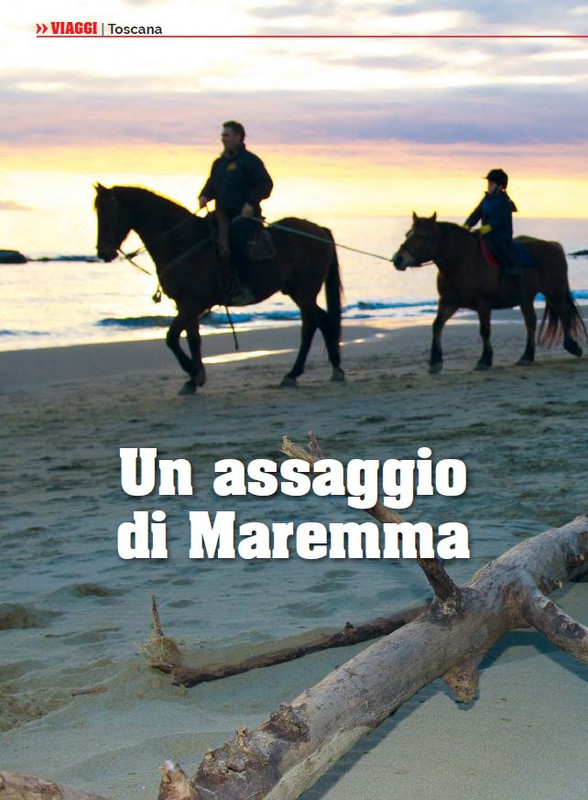 Il Mio Cav (Apr 2023) 7