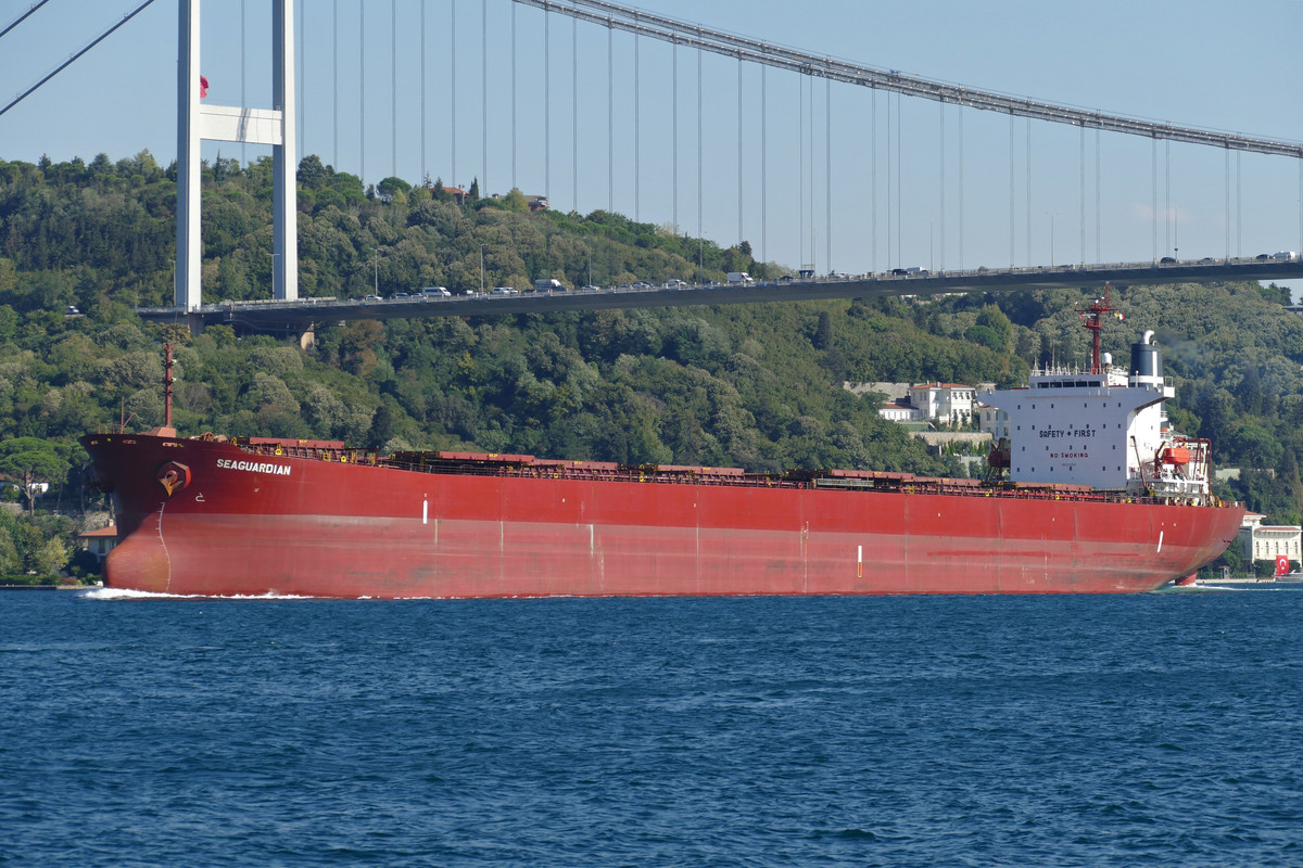 Seaguardian (OK-290823-0)