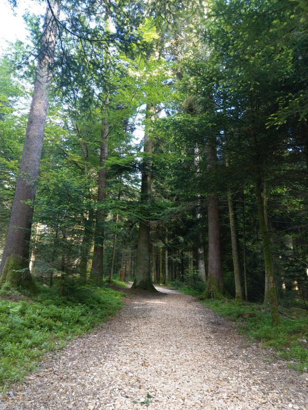 725A04C4-A556-4DF2-9320-CBFE25531863