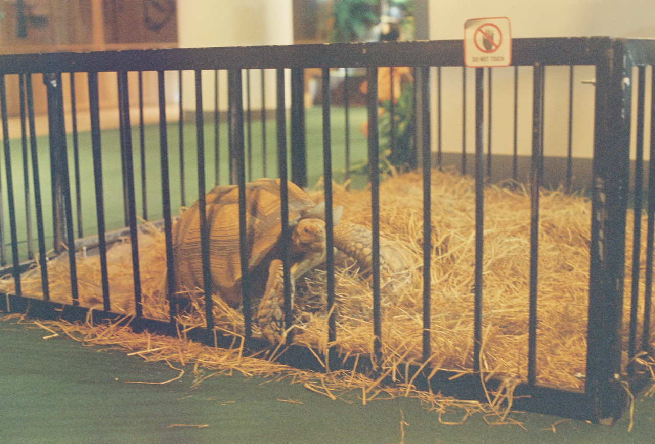 Vision3-250D-Spot-33