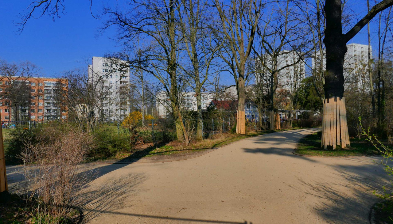 Bild: https://i.postimg.cc/jdSK4NXy/P1340926.jpg