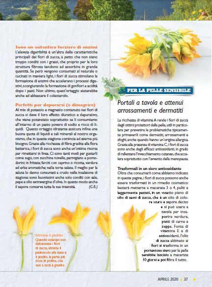 Salute Nat Apr 2020 (4)