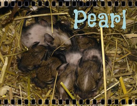 для визитки