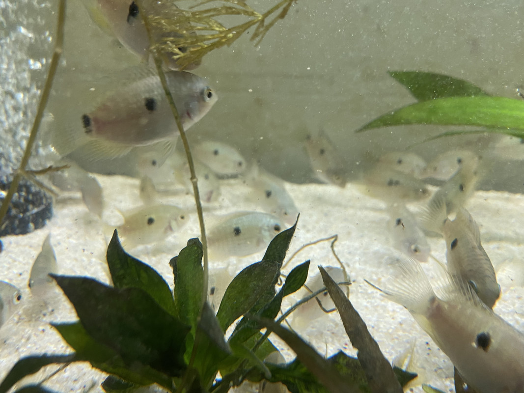 216DED7E-99DA-4C6D-982C-DC6C28472C01