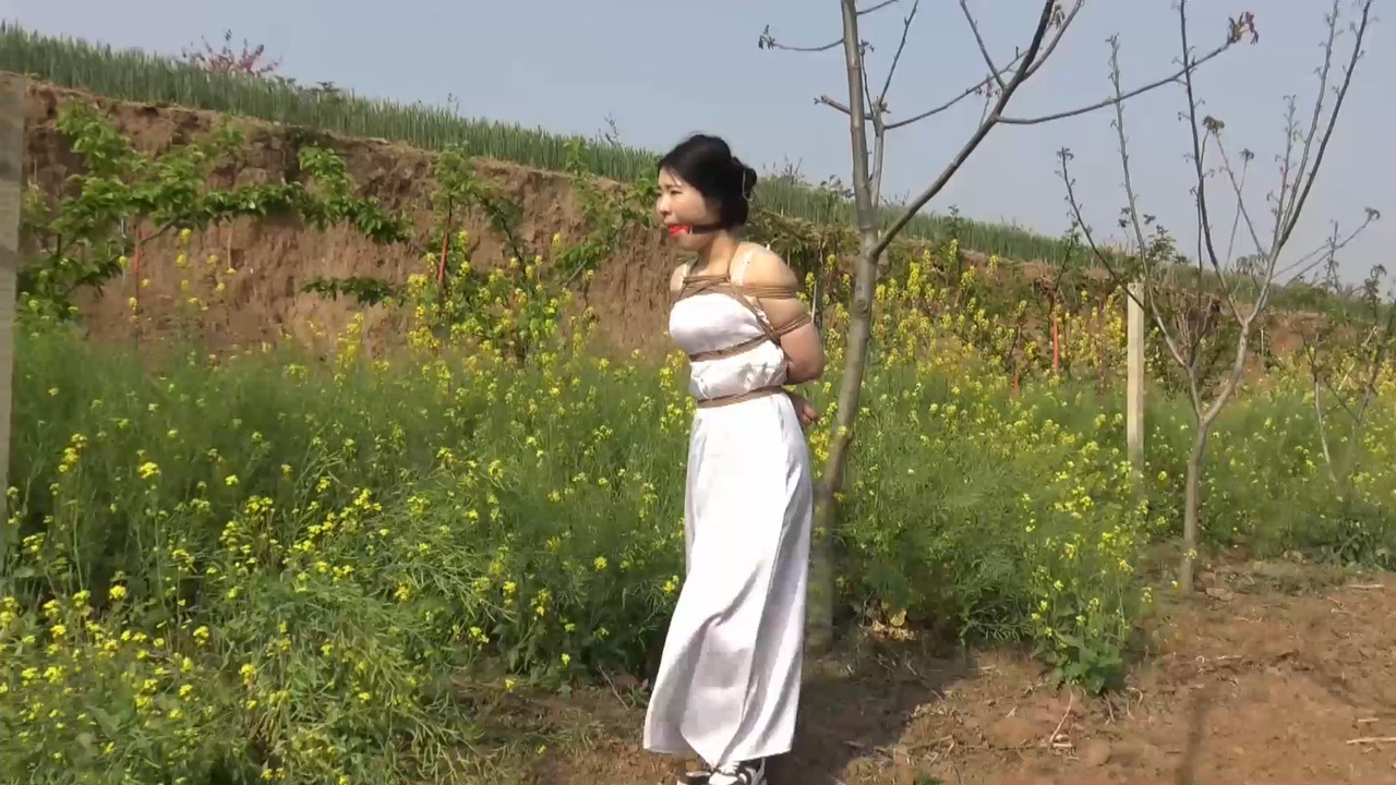 胜景影视 把M绑到庄子上当稻草人驱赶鸟雀.mp4_20220420_185154.803