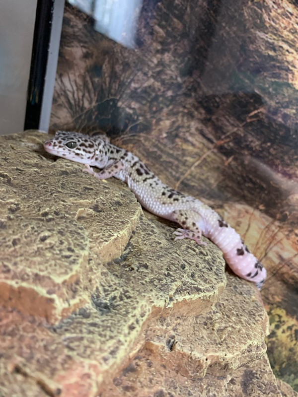 B6C3E91D-F633-4FF0-9F23-193616853483