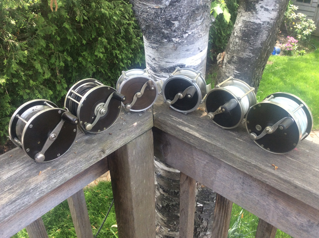 E8FB986B-9412-4497-B72F-7244970CF9FC