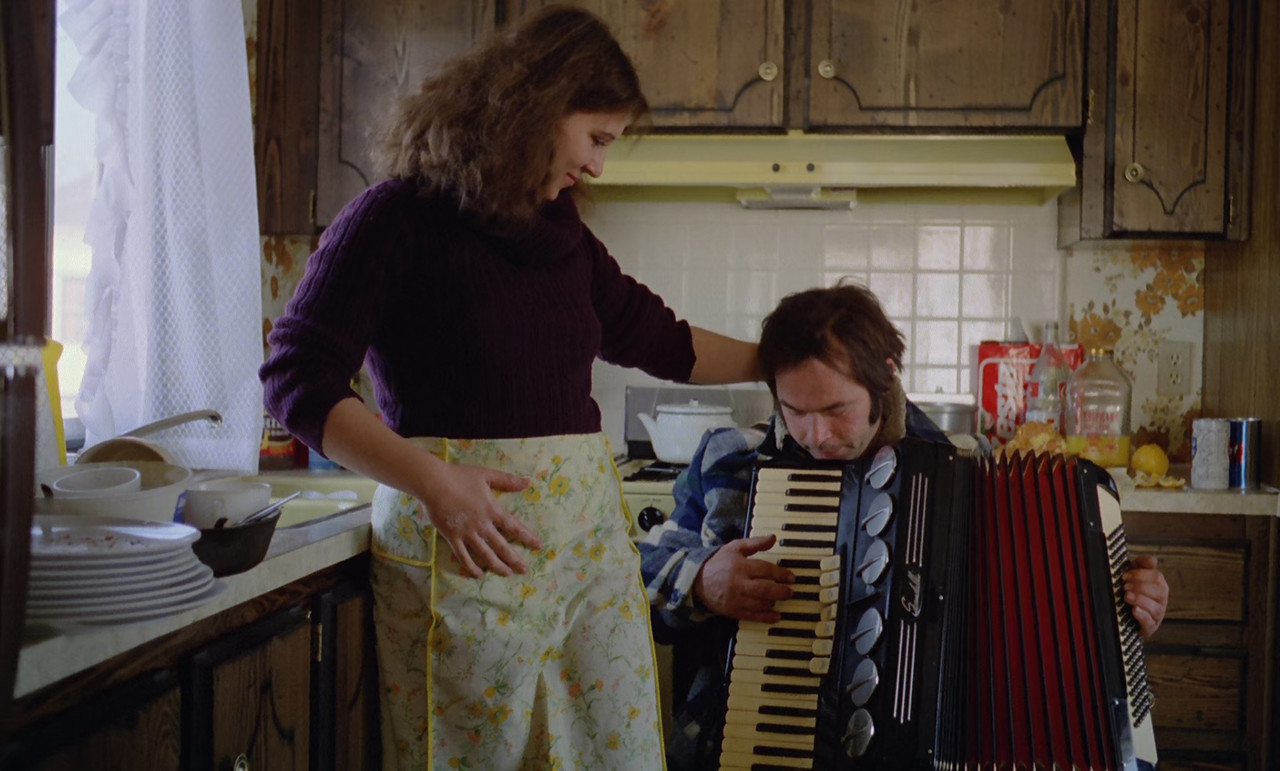 Stroszek 1977 WHC (1080p x265 10bit Tigole).mkv_