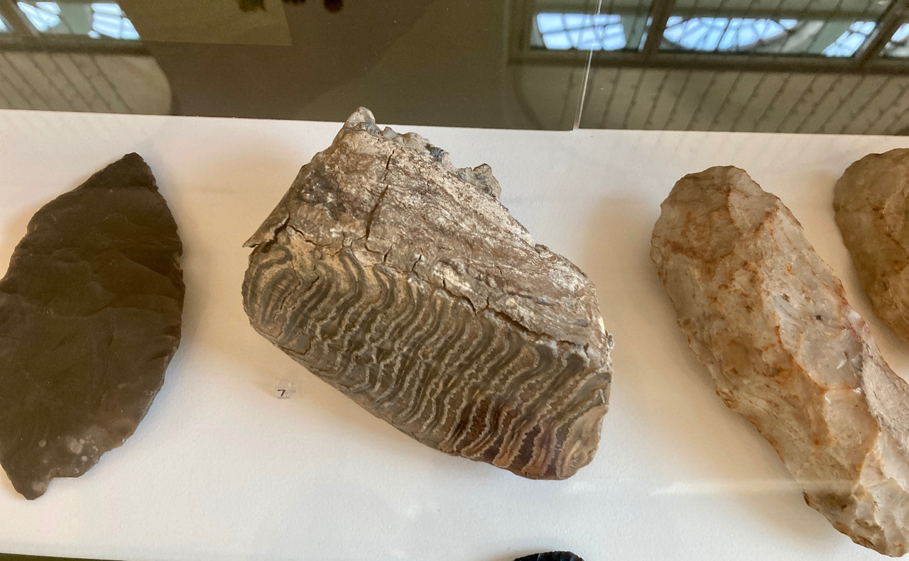 BFB6DE0A-531B-45DF-96DF-75C544271135