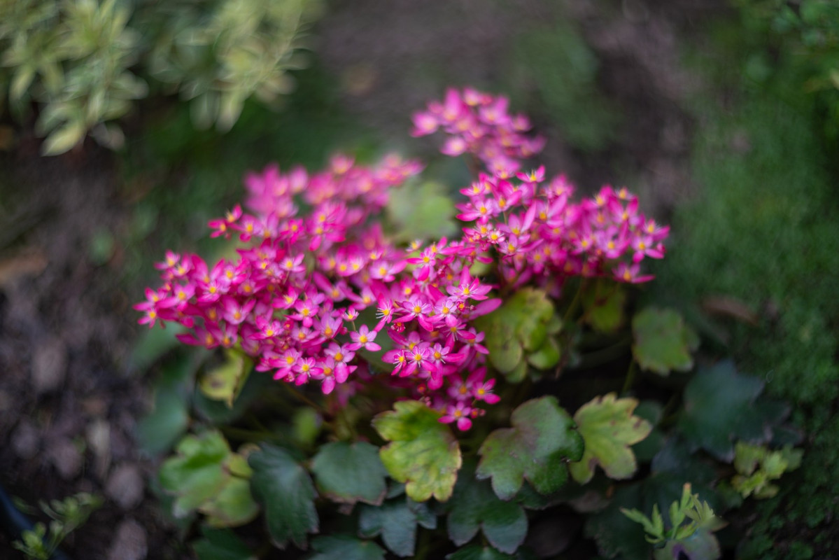 IMG-17e87d96afe9361f33751d04c2d59f22-V