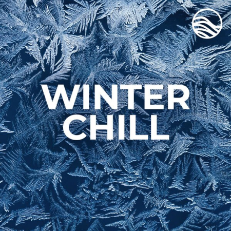 VA - Winter Chill (2022) mp3, flac
