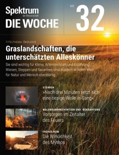 Cover: Spektrum der Wissenschaft Die Woche No 32 vom 10  August 2022