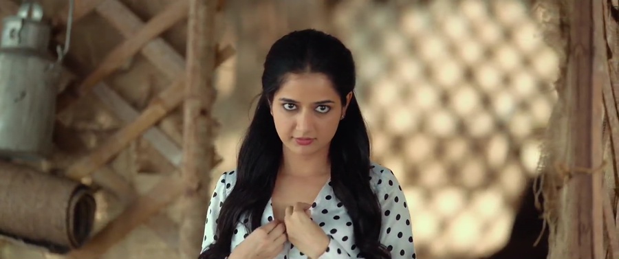 Naa Saami Ranga 2024 WebRip [Hindi] 480p, 720p Screenshot