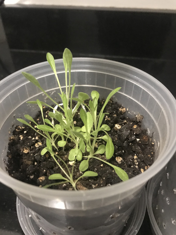 9AB87092-349E-4820-A859-C838EA733FD9