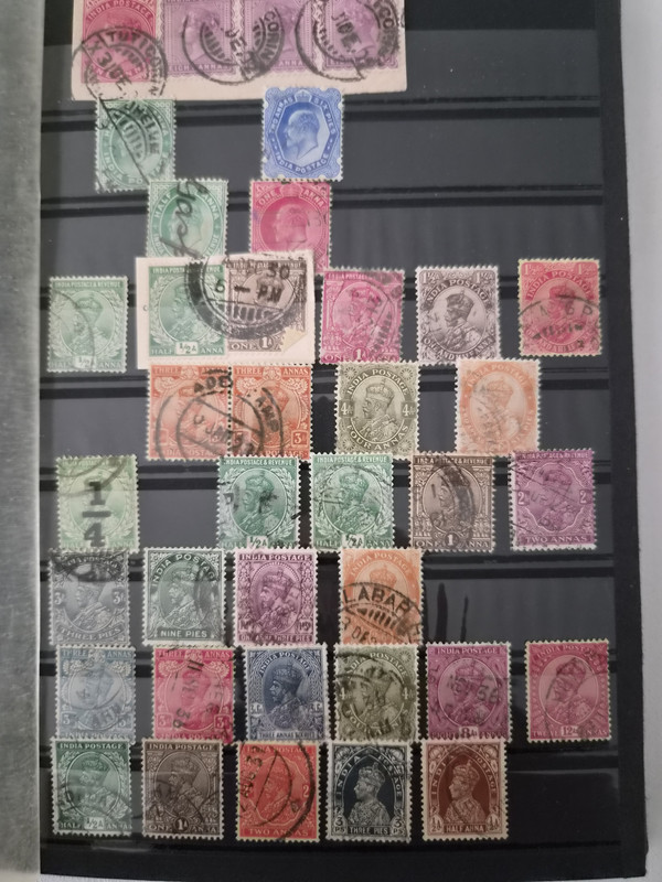 5CB99196 6613 43C4 915F 87283F293001 1 201 a
