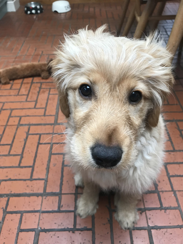 F59056B0-794C-4730-8D09-77C6617D0E6F