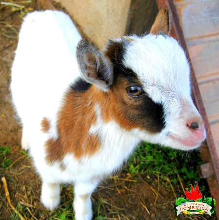 CD9068DB-C271-40E5-805D-8C4EDCC0F7D5