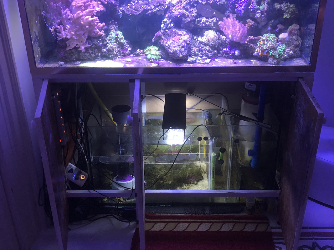 7DA24236-F5DF-40AB-9642-D3F6A7AFDEF9