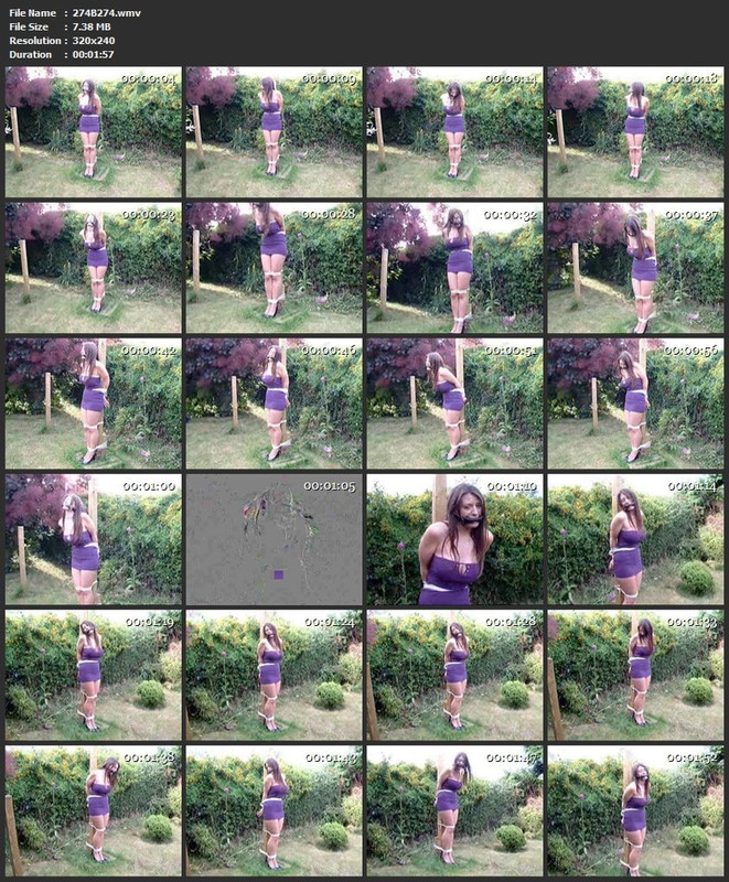 274B274.wmv