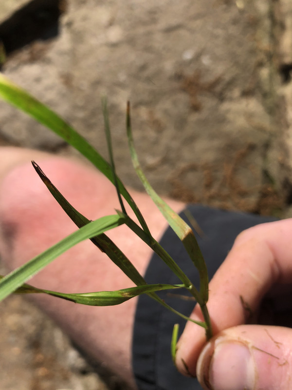 1BA66431-0A00-4AB0-BE4C-13A77E297F61