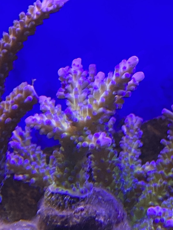 02AC3916-B55B-4F85-9BBA-BAC7941EF1A0